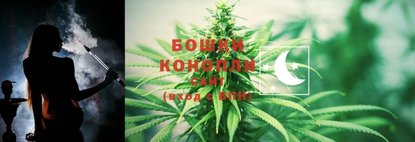 прущие грибы Белоозёрский