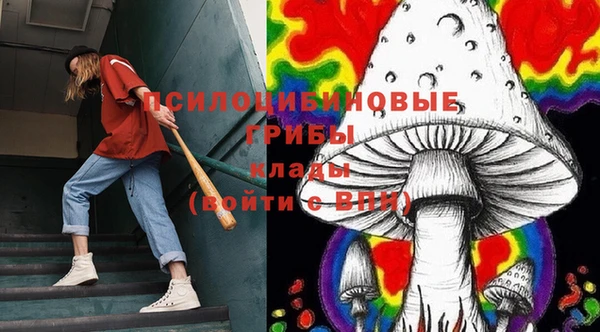 гашиш Белокуриха