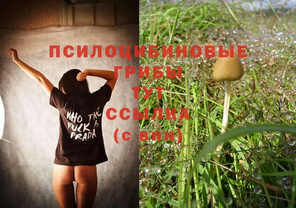прущие грибы Белоозёрский