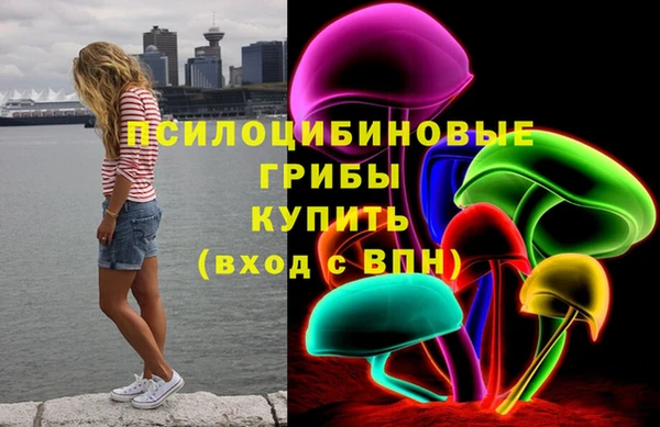 СК Богданович